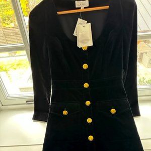 ALC velvet ivy dress NWT - size 2